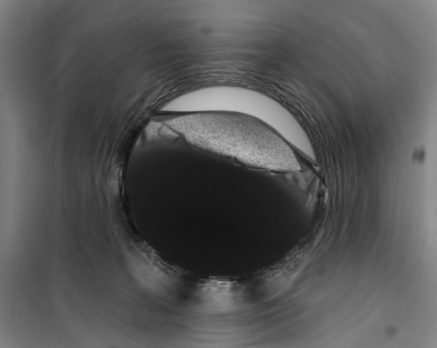 X0000099380227200806051128