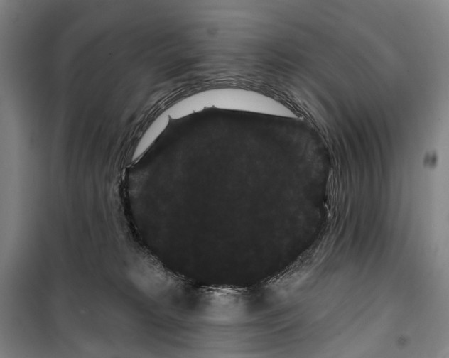 X0000099380229200806051128
