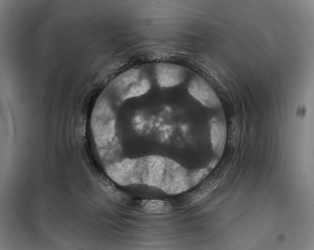 X0000099380230200806051128