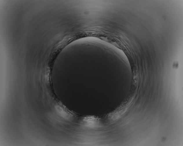 X0000099380231200806051128