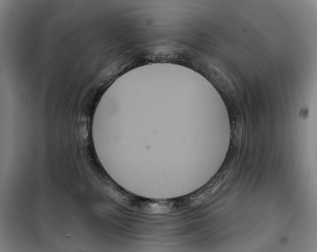 X0000099380232200806051128