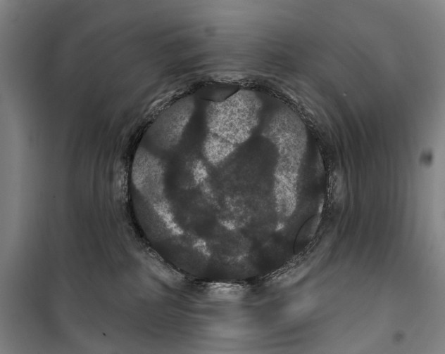 X0000099380234200806051128