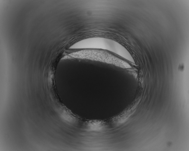 X0000099380235200806051128