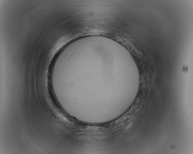 X0000099380242200806051127
