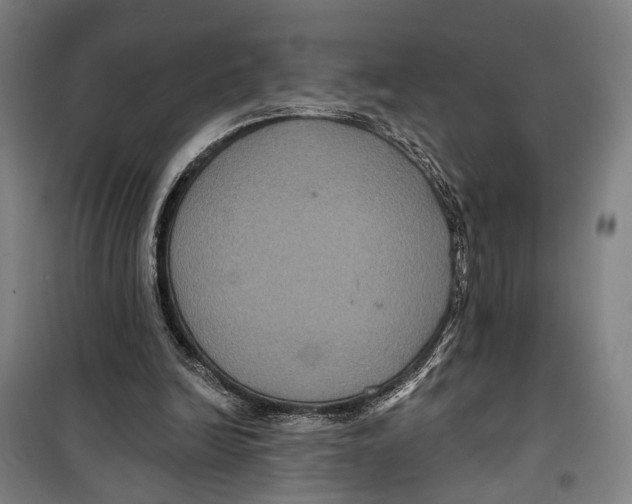 X0000099380246200806051127