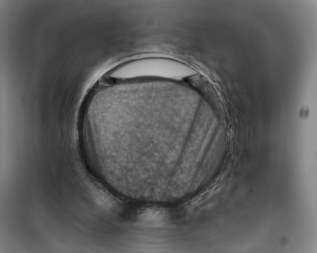 X0000099380248200806051127