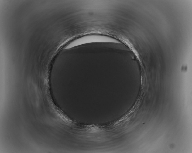 X0000099380249200806051127