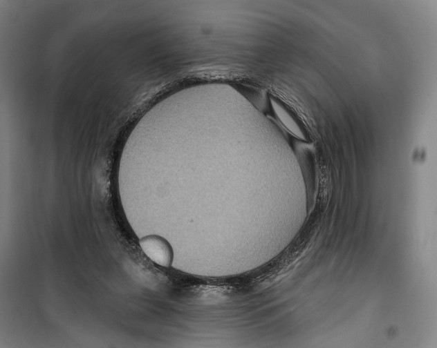X0000099380255200806051128