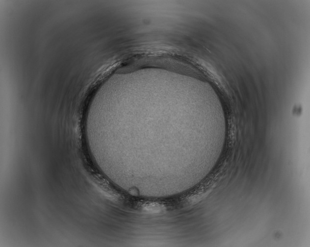 X0000099380258200806051128