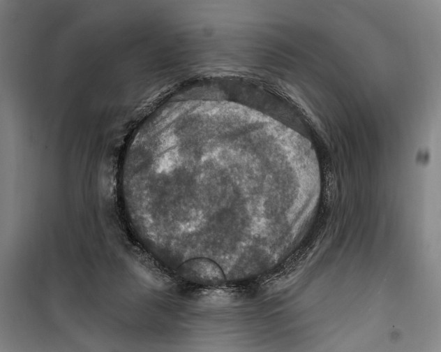X0000099380259200806051128
