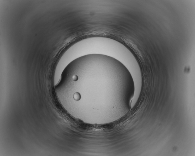 X0000099380260200806051128