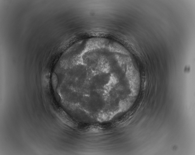 X0000099380263200806051128