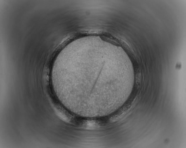 X0000099380264200806051128