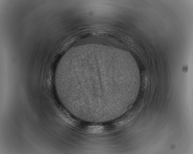 X0000099380266200806051128