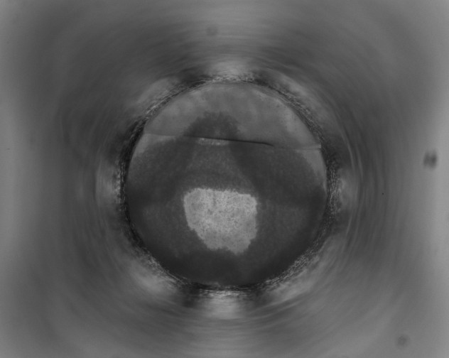 X0000099380268200806051128