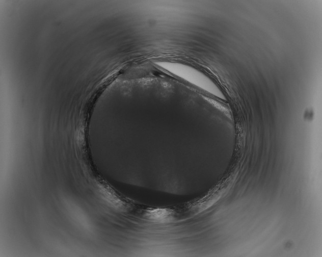 X0000099380269200806051128