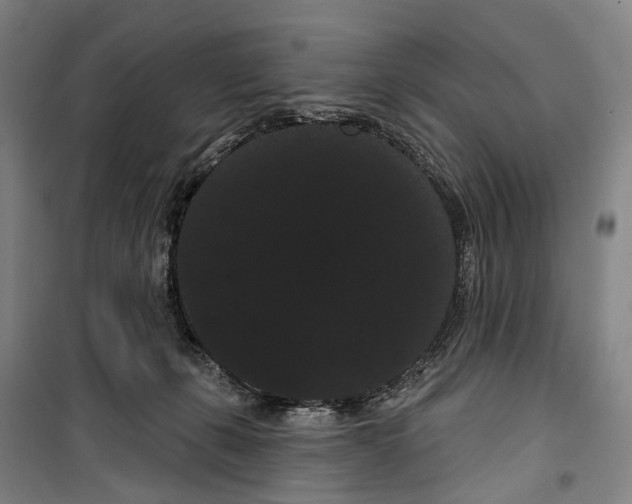 X0000099380271200806051128