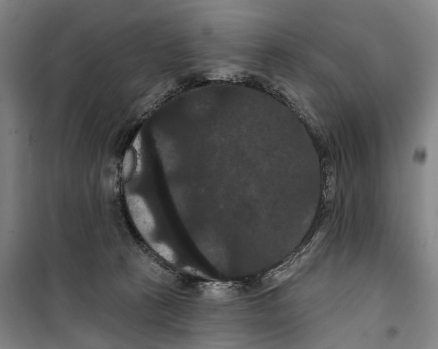 X0000099380273200806051128