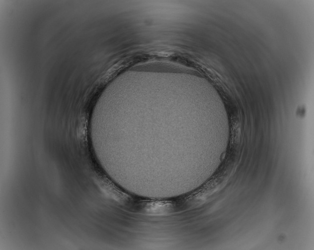 X0000099380274200806051128