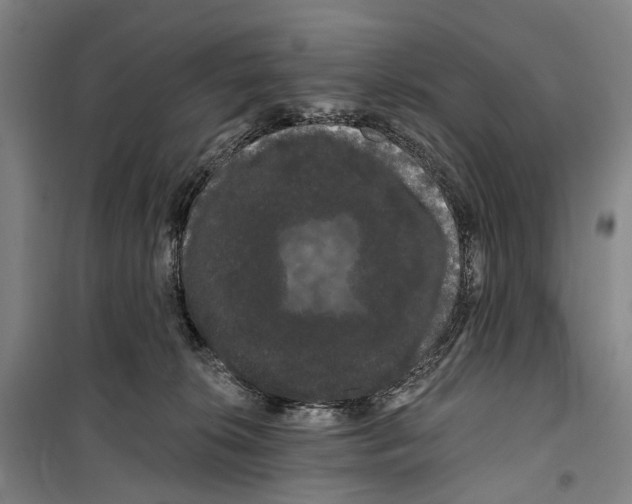 X0000099380276200806051128