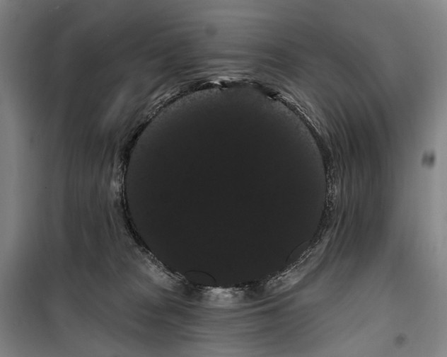 X0000099380277200806051128