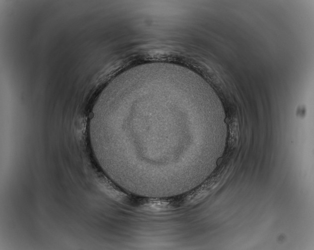 X0000099380278200806051128