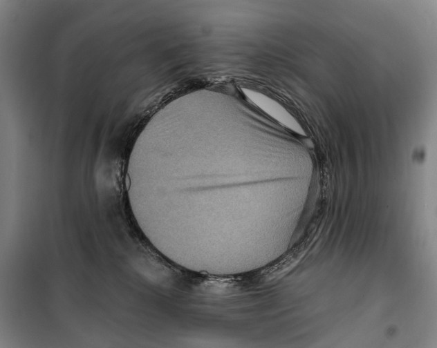 X0000099380280200806051128