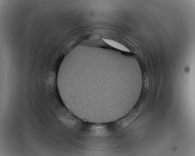 X0000099380283200806051128