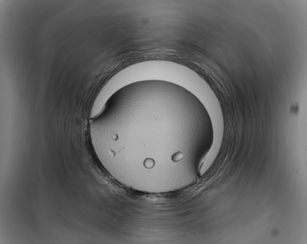 X0000099380284200806051128