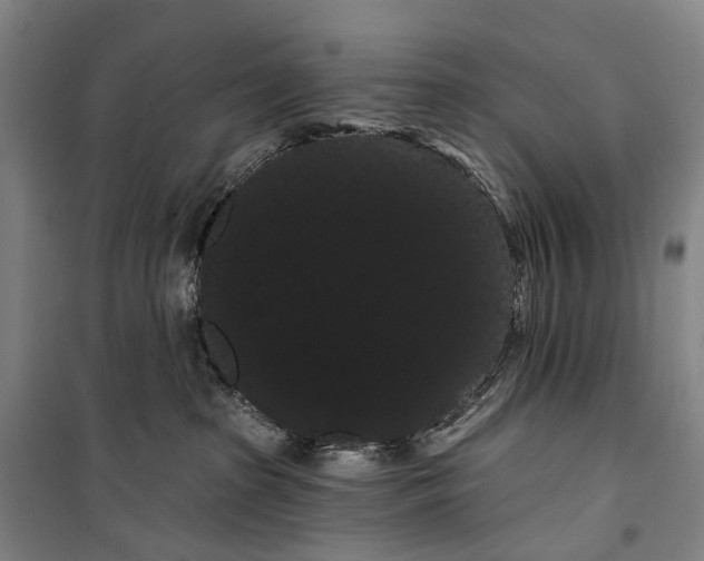 X0000099380285200806051128