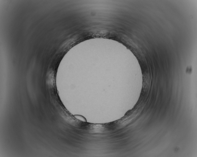 X0000099380287200806051128