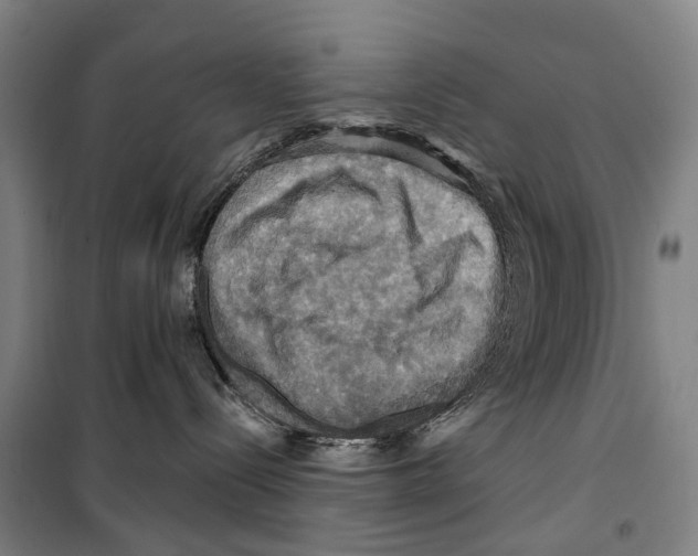 X0000099380288200806051128