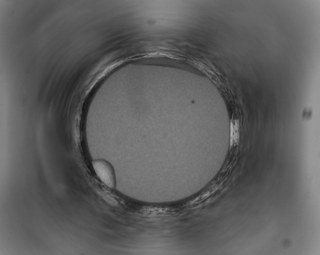 X0000099380291200806051127