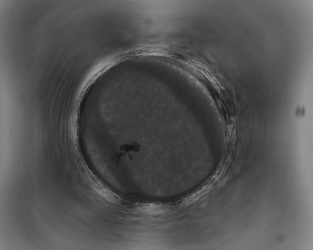 X0000099380293200806051127