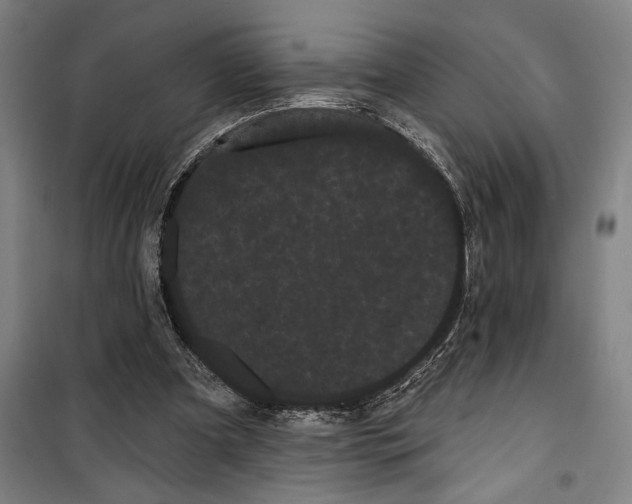 X0000099380297200806051127