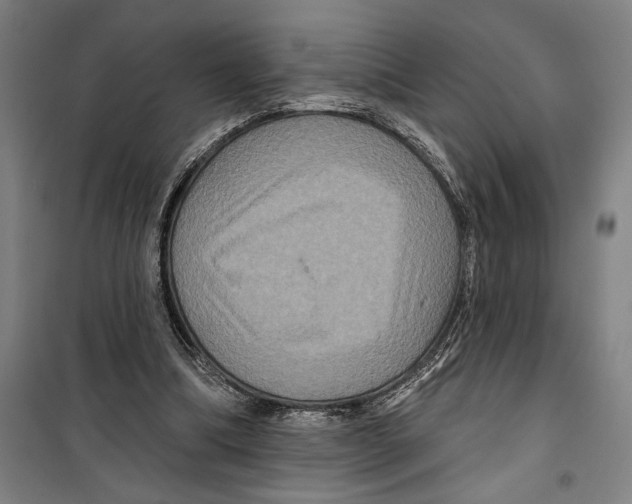 X0000099380298200806051127
