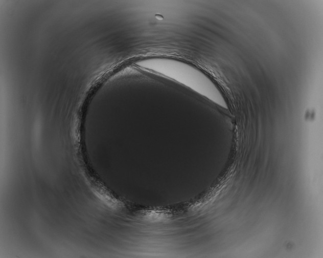X0000099380303200806051127