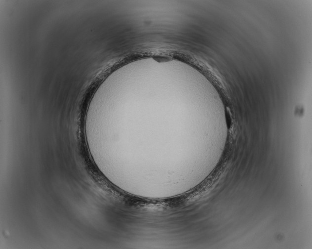 X0000099380306200806051127