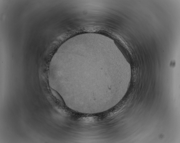 X0000099380307200806051127