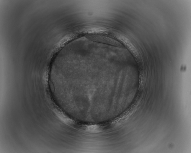 X0000099380309200806051127