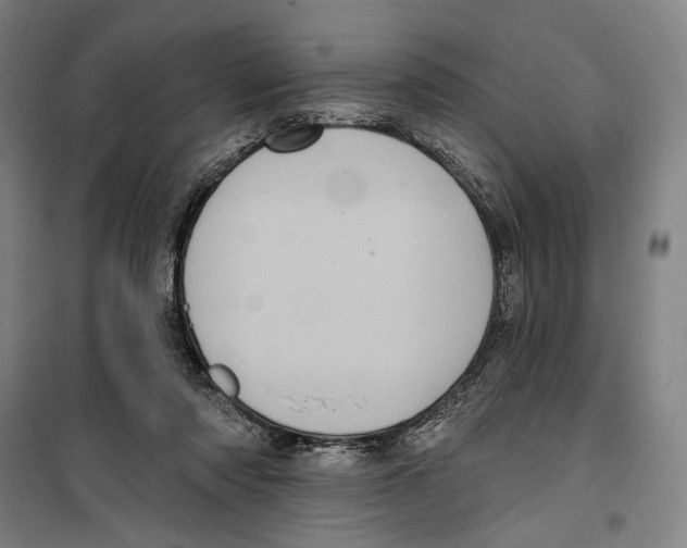 X0000099380310200806051127
