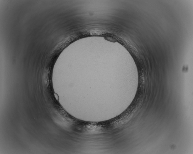X0000099380311200806051127
