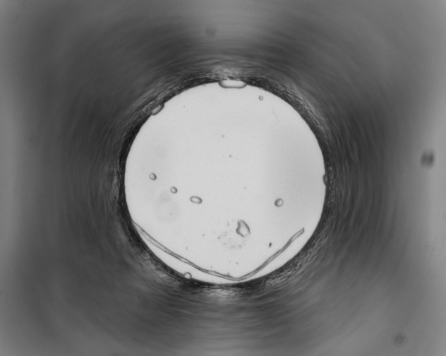 X0000099380313200806051127