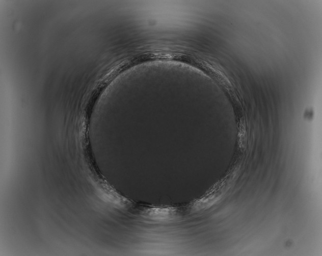 X0000099380314200806051127