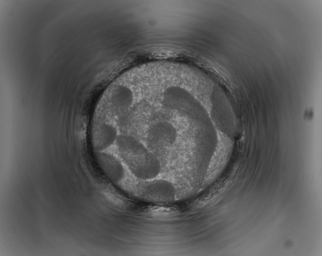X0000099380315200806051127