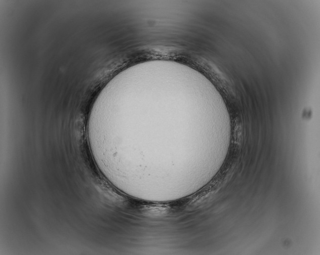 X0000099380318200806051127