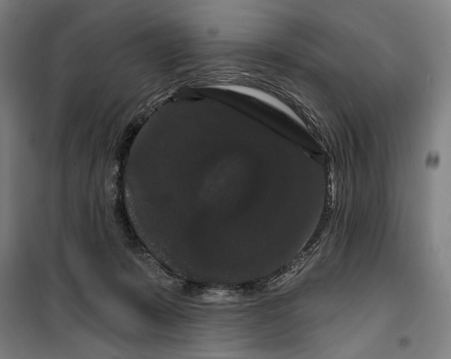 X0000099380319200806051127