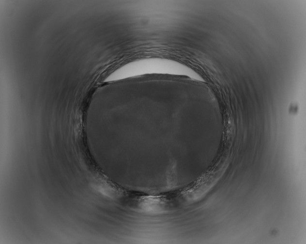 X0000099380320200806051127