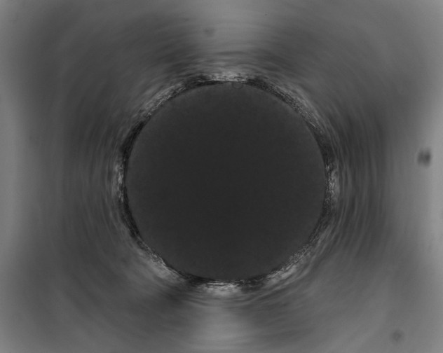 X0000099380322200806051127