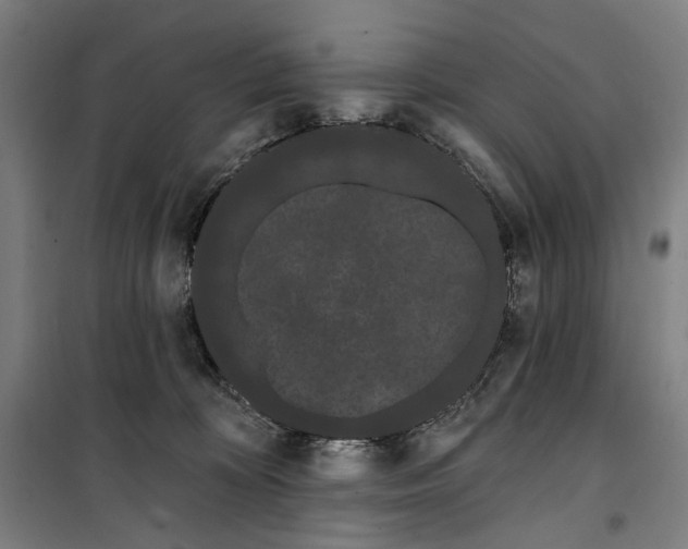 X0000099380324200806051127